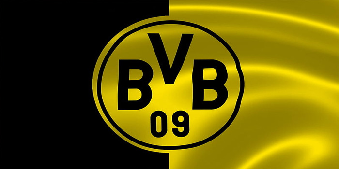 Borrusia Dortmund vs Shakhtar Donetsk – Pekan ke-8 UEFA Champions League, 30 Januari 2025